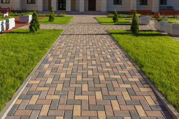 Best Local Driveway Pavers  in Picture Rocks, AZ
